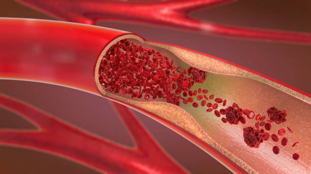 Mitochondria absorbing light energy